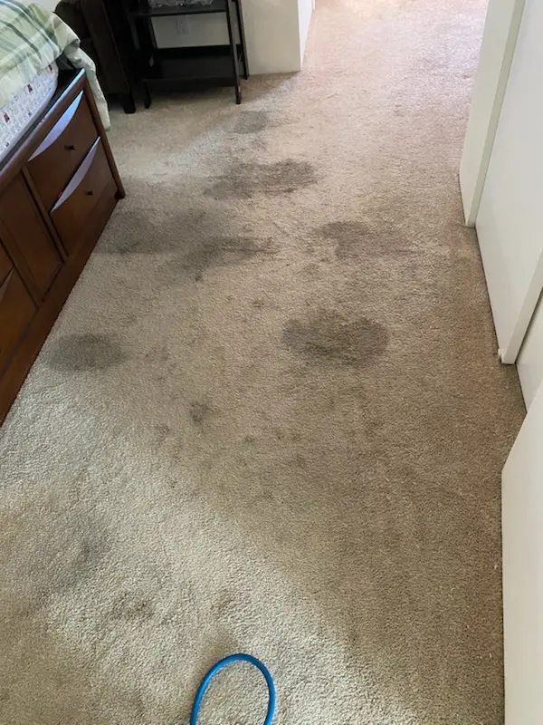 Cleaning Service