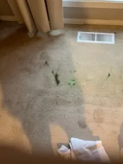 Cleaning Service